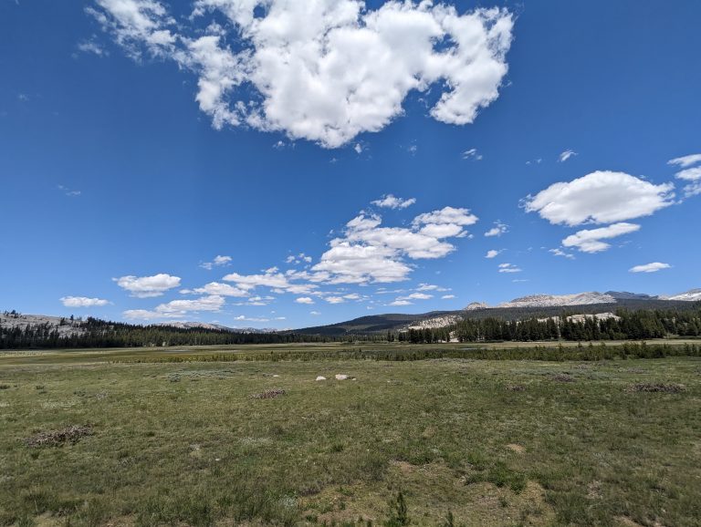 tuolumne meadows - yosemite - 6.20.24