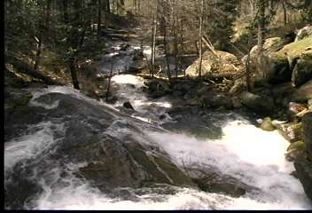 Yosemite Vacation Homes