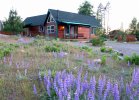 yosemite vacation home