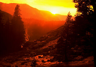 Yosemite National Park