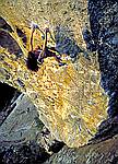 The overhanging jug haul on bucket brigade, <yosemite>.