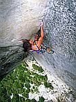 yosemite moratorium, sue at the cruz,