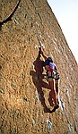 bird lew climbing at smith rock