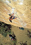 bird warming up at smith rock