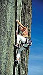 rock climbing in yosemite, sue on wheat thin, cookie cliff