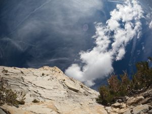 Daily Report - Yosemite National Park Thursday, October 19, 2023