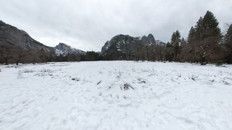 Daily Report - Yosemite National Park Wednesday, January 17, 2024